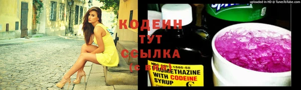 молекула духа Арсеньев
