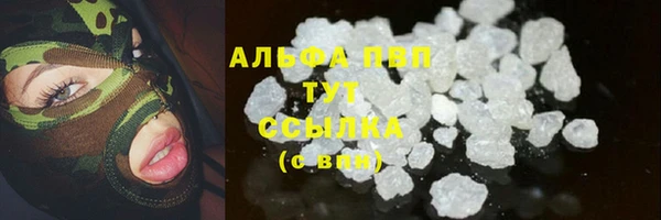 молекула духа Аркадак