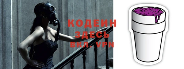 молекула духа Арсеньев