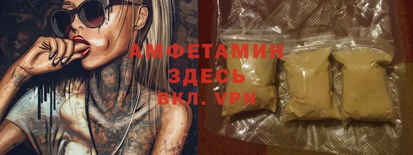 молекула духа Арсеньев