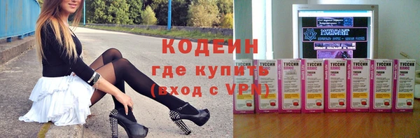 молекула духа Арсеньев