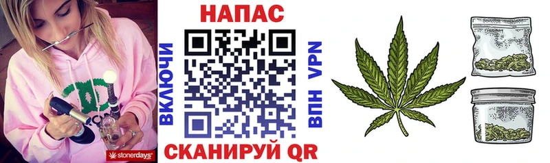 Купить где  Верхоянск  Бошки Шишки MAZAR 